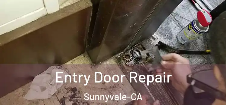 Entry Door Repair Sunnyvale-CA