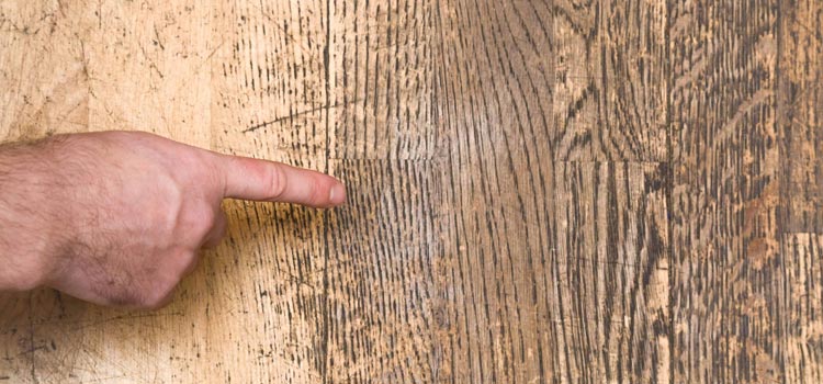 Wood Door Scratch Repair in Sunnyvale