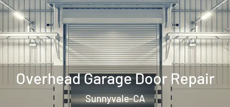 Overhead Garage Door Repair Sunnyvale-CA